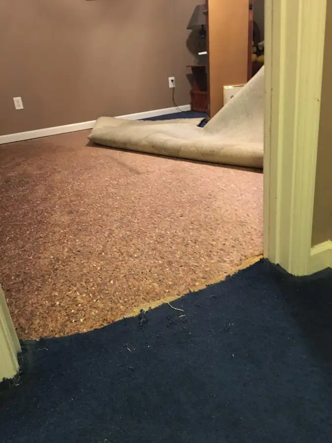 Carpet pad removal revealing water damage during Drying & Dehumidification in Mantua